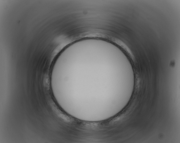 X0000093510882200710121101