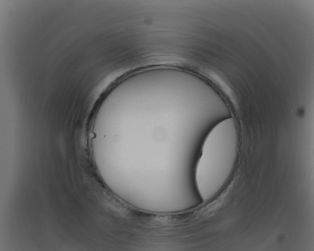 X0000093510883200710121101