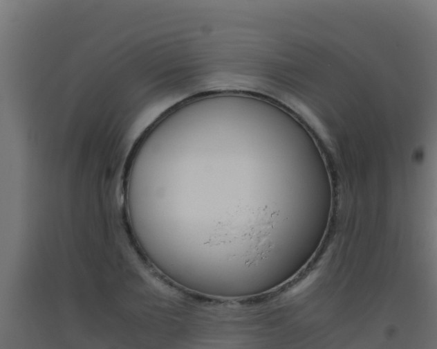 X0000093510885200710121101