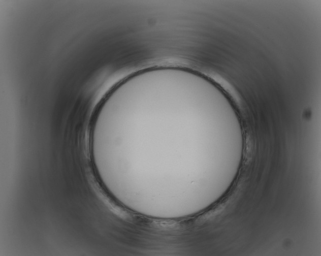 X0000093510886200710121101