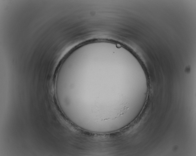 X0000093510887200710121101