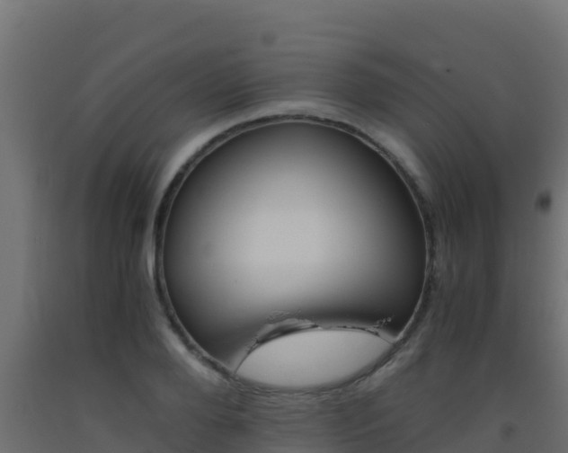 X0000093510888200710121100