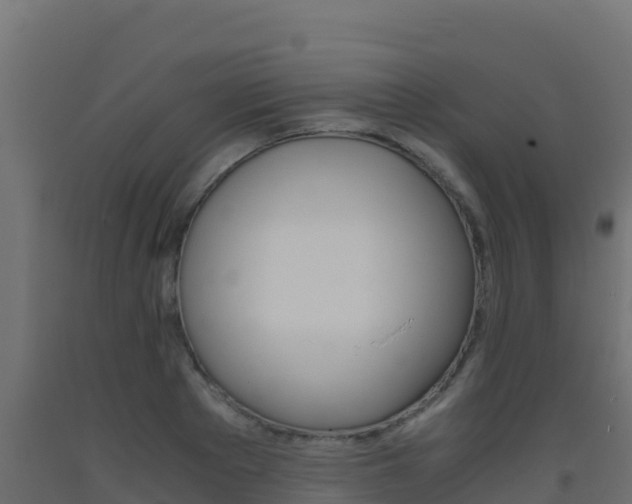 X0000093510889200710121100