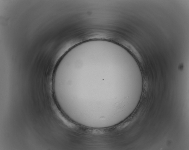 X0000093510890200710121100