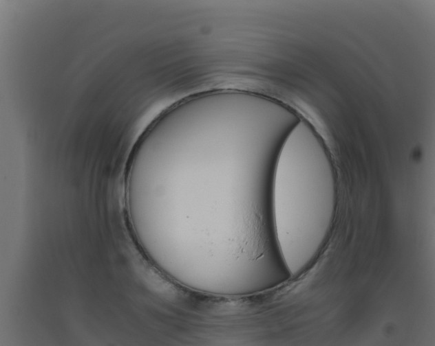 X0000093510891200710121100