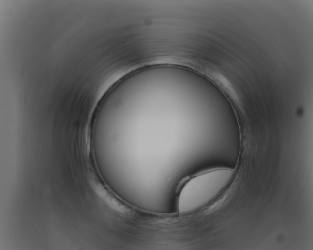X0000093510892200710121100