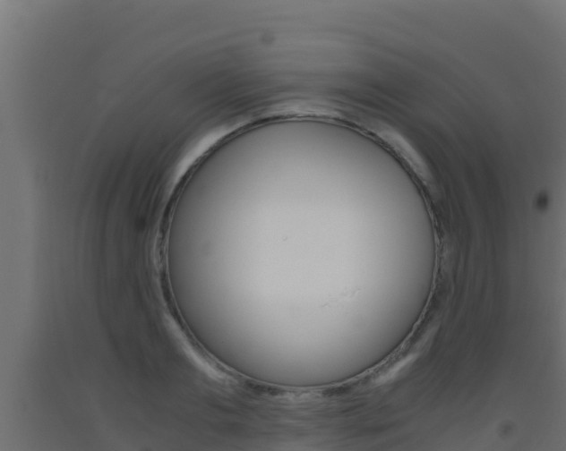 X0000093510893200710121100