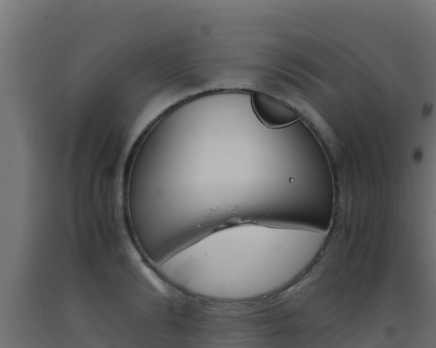 X0000093510894200710121100