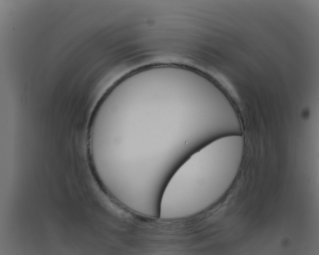 X0000093510895200710121100