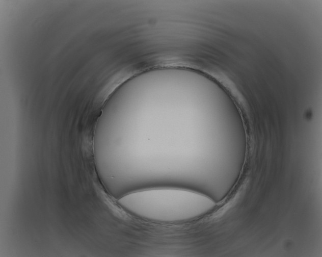 X0000093510897200710121100
