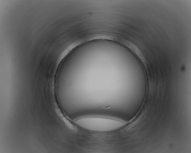 X0000093510898200710121100