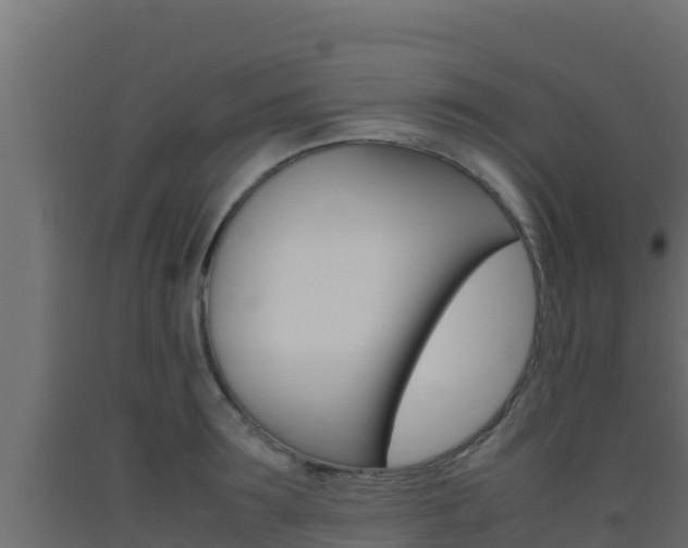 X0000093510899200710121100