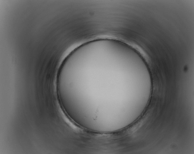 X0000093510902200710121100