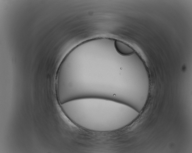 X0000093510903200710121100