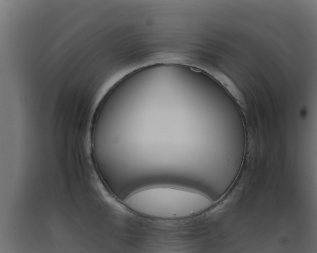 X0000093510904200710121100