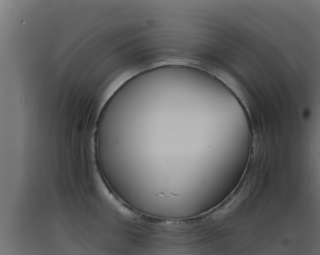X0000093510906200710121100