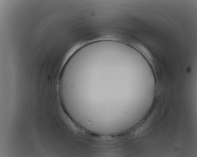 X0000093510907200710121100