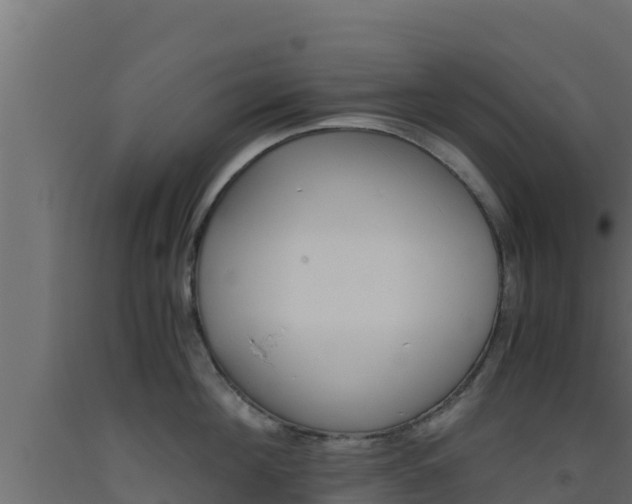 X0000093510908200710121100