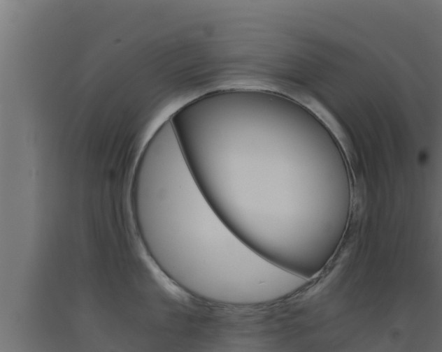 X0000093510909200710121100