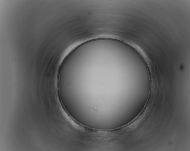 X0000093510910200710121100