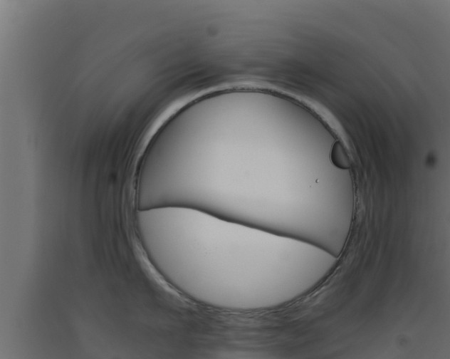 X0000093510911200710121100