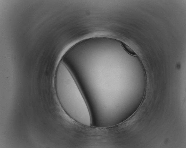 X0000093510912200710121100
