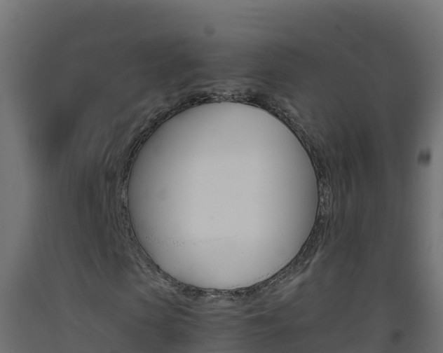 X0000093510913200710121100