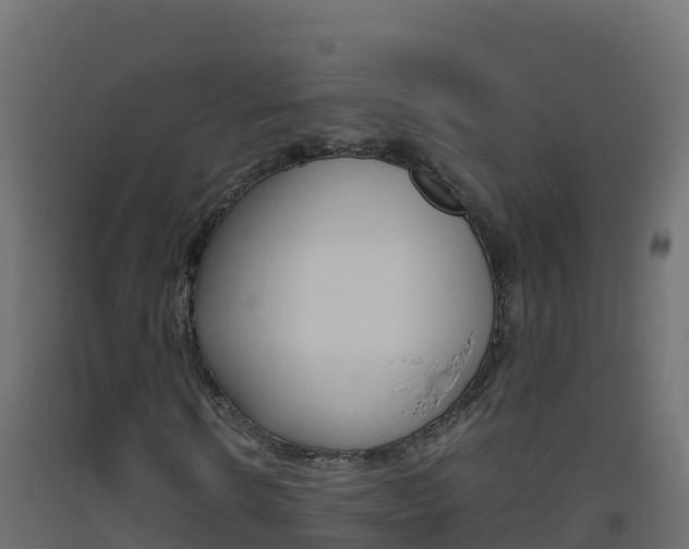 X0000093510914200710121100