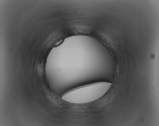 X0000093510915200710121100