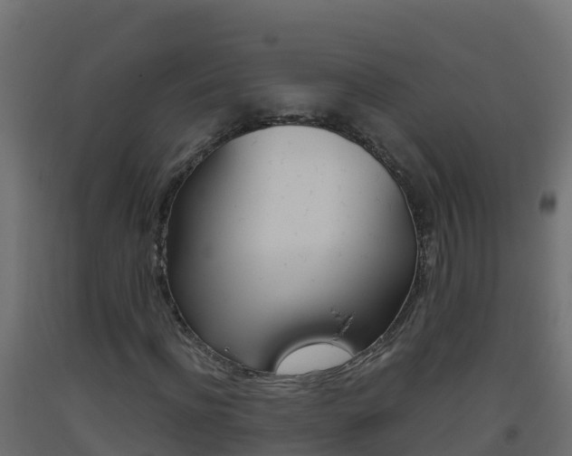 X0000093510916200710121100