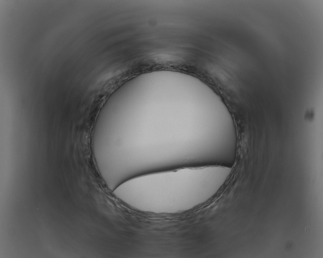 X0000093510917200710121100