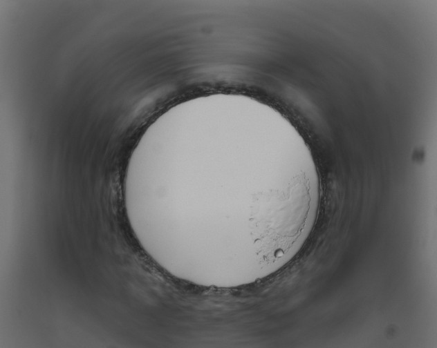 X0000093510918200710121100