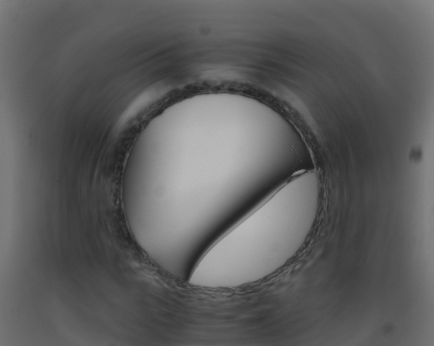 X0000093510919200710121100