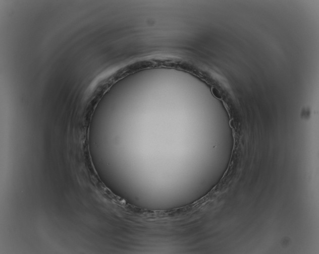 X0000093510920200710121100