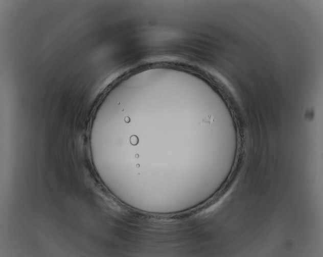 X0000093510921200710121100
