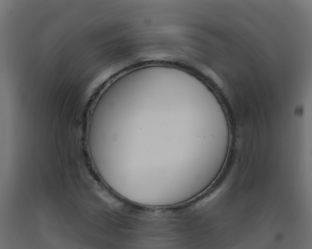 X0000093510922200710121100