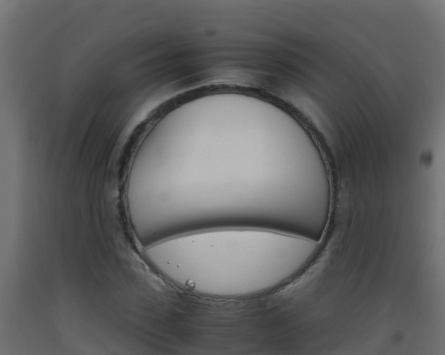 X0000093510923200710121100