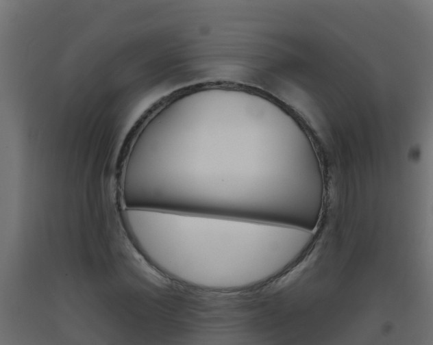 X0000093510924200710121100