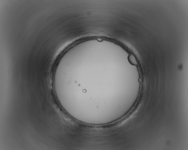 X0000093510925200710121100