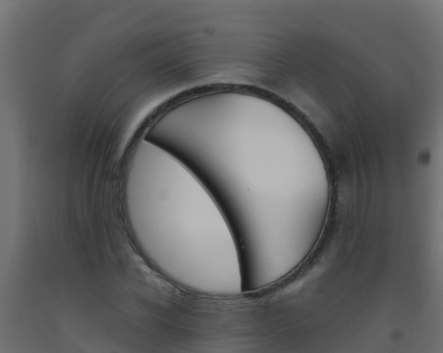 X0000093510926200710121100