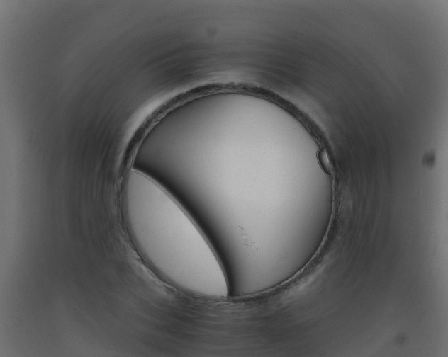 X0000093510927200710121100