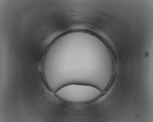 X0000093510929200710121100