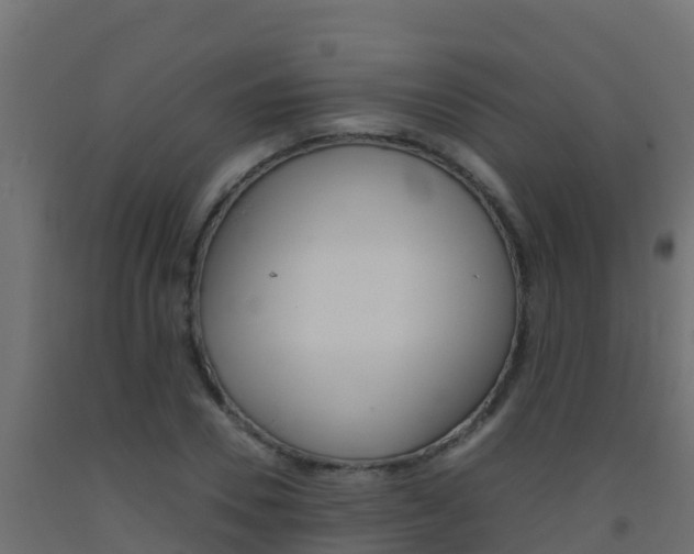 X0000093510930200710121100
