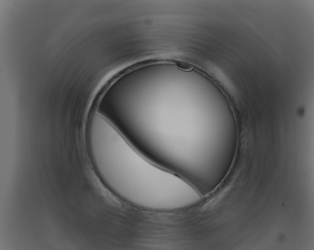 X0000093510932200710121100