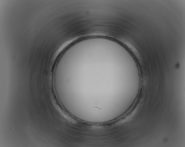 X0000093510933200710121100