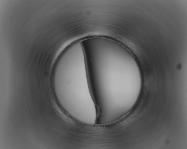 X0000093510934200710121100