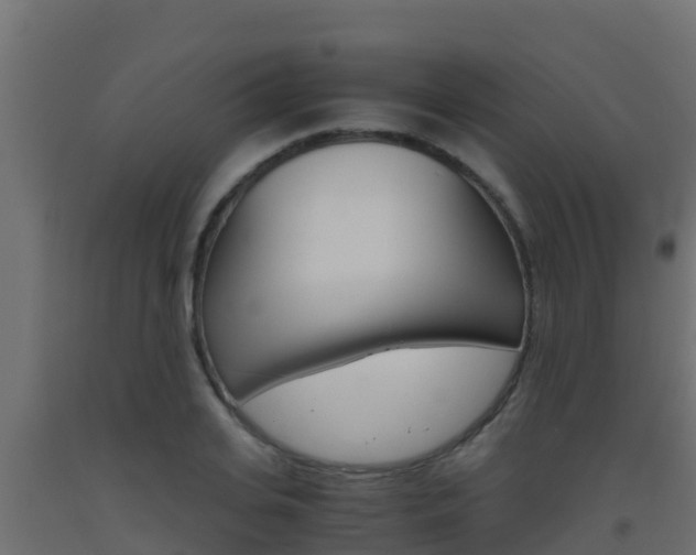 X0000093510935200710121100
