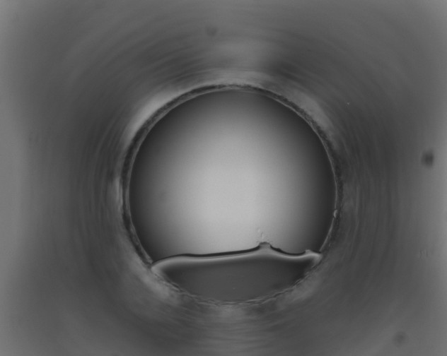 X0000093510936200710121100