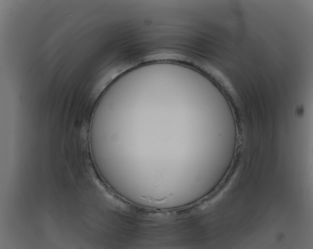 X0000093510937200710121100