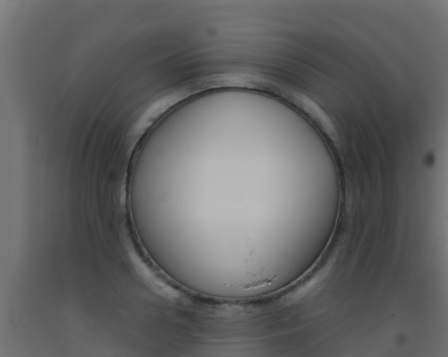 X0000093510938200710121100